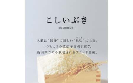 【3か月定期便】R7年産 新潟県産 こしいぶき 5kg （無洗米）