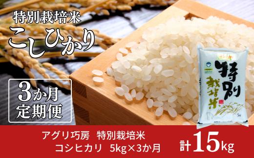 [定期便5kg×3ヶ月] 特別栽培米 コシヒカリ5kg 令和7年産 新潟県認証 新潟県三条市産 こしひかり 3か月連続でお届け【027S014】