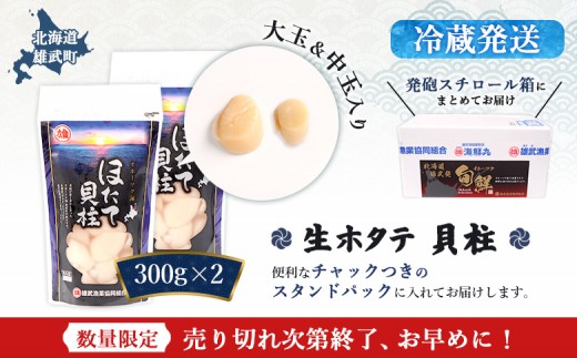 【関東限定！生ほたて】《期間限定》北海道雄武産 生玉ほたて300g×2 塩水パック(冷蔵)