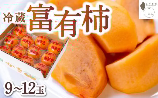石井農園 冷蔵富有柿 9玉から12玉 2025年12月中旬から2026年3月31日 出荷予定