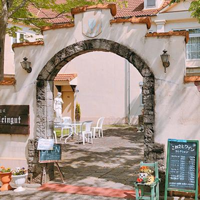 ふるさと納税 赤磐市 ワイン 「しゅほ」 ピオーネ ・ ロゼ 375ml 1本 国産 [NO5765-1144] |  | 01