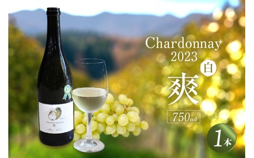 
            Chardonnay2023 爽 750ml 白ワイン｜シャルドネ 無添加 無濾過 国産 日本ワイン 愛知県 東浦町 [0738]
          