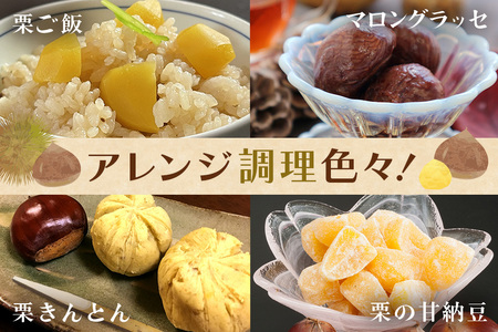 アカツファーム の ぽろたん（ 生栗 ） 特大 3Lサイズ 1kg GA-013