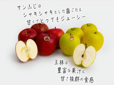 りんご サンふじ 王林 食べ比べ 青森県産 りんご【約5kg 12〜18玉】