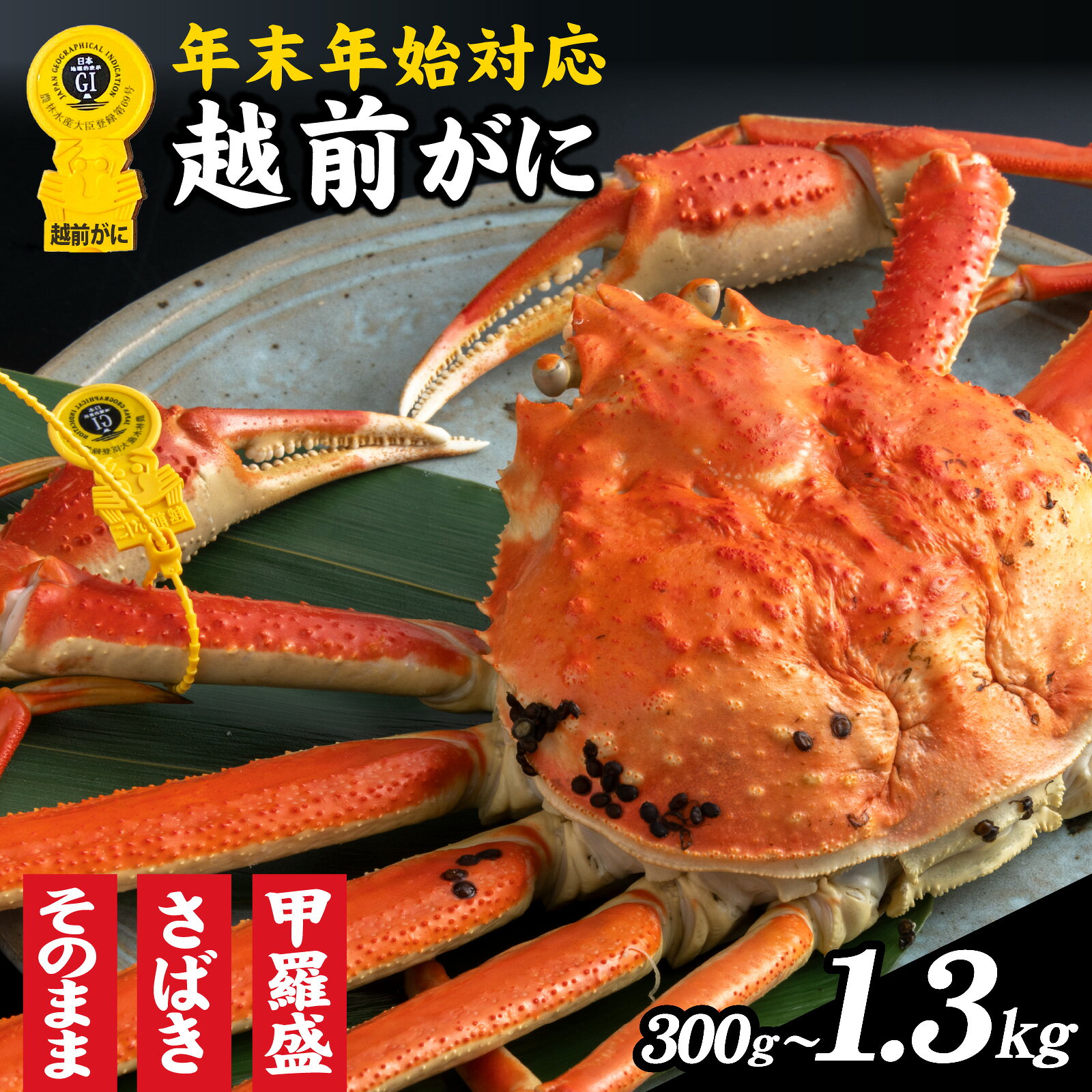 【ふるさと納税】美味しさ直送【成前特選】越前がに 選べる容量、調理法【年内発送・年末年始対応】 [O-028020] / カニ かに かにボイル かにみそ 越前ガニ ズワイガニ ずわい蟹 ズワイガニ 姿 年内お届け 年内配送 福井 国産 冷蔵 送料無料