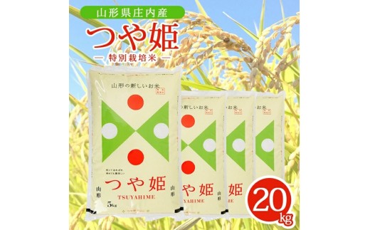 令和7年産【精米】特別栽培米 つや姫　20kg(5kg×4袋) AK SF0362