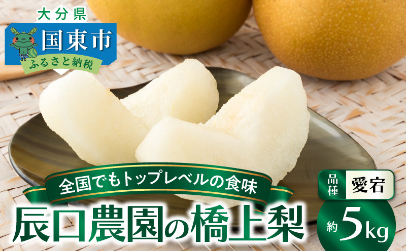2023年先行予約 辰口農園の橋上梨 5kg 程よい甘さでジューシー
