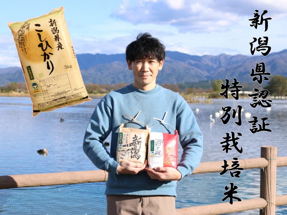 
            【令和7年産新米予約】【新潟県認証米】 5kg 特別栽培米 従来コシヒカリ 阿賀野市産 丸山農園  10月上旬より順次発送予定 3F01013
          