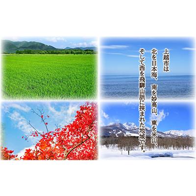 ふるさと納税 上越市 【毎月定期便】【12ヵ月連続お届け】米物語 上越産コシヒカリ 5kg全12回 |  | 01