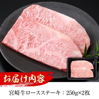 宮崎牛 ロースステーキ(計500g・250g×2枚) 国産 宮崎県産 宮崎牛 牛肉 ステーキ ロース A4 和牛【MI011】【(株)ミヤチク宮崎加工センター】