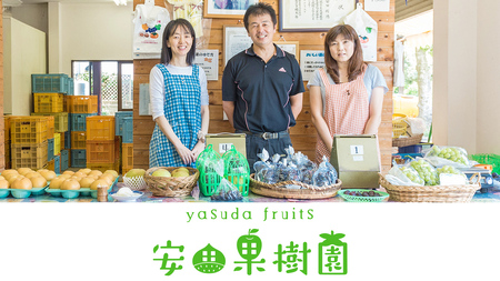 新高 約5kg（茨城県共通返礼品：かすみがうら市） 【2025年9月中旬発送開始】 梨 数量限定 なし ナシ フルーツ 果物 旬 産地直送 [FF005sa]