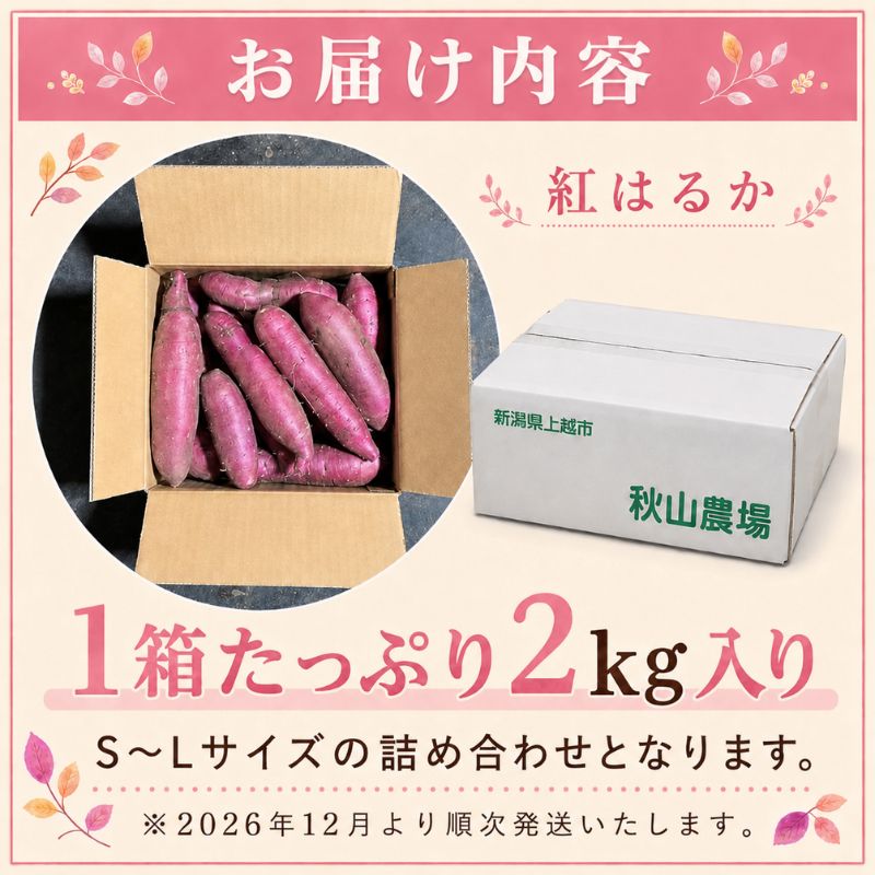 新潟県上越市産 紅はるか サツマイモ さつまいも S-Lサイズ混合 約2kg 秋山農場グリーンプロジェクト