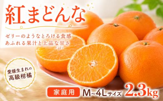 紅まどんな ご家庭用 2.3㎏ M~4Lサイズ 【2026年11月中旬頃から順次発送】   | 紅まどんな 柑橘 マドンナ フルーツ まどんな みかん 愛媛 みかん かんきつ 紅マドンナ 蜜柑 紅まどんな 愛果 mikan ふるーつ 果物 愛媛県 松山市