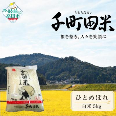 ふるさと納税 陸前高田市 先行受付 令和8年産 ひとめぼれ 白米 5kg 千町田米 布袋様 パッケージ 米 お米 ライス 限定