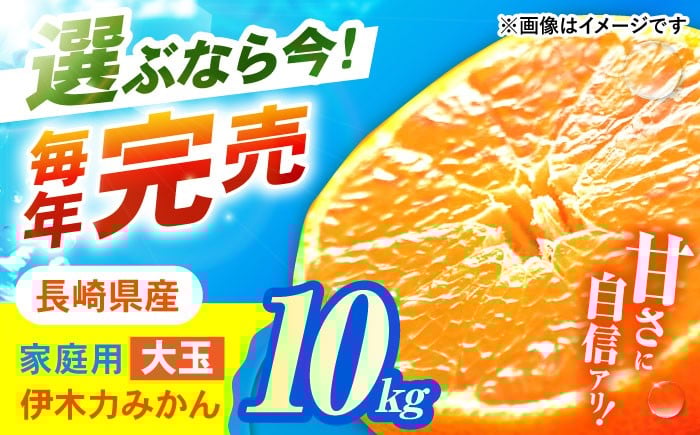 
            伊木力みかん(大玉) 10kg / みかん ミカン 蜜柑 柑橘 フルーツ ふるーつ 果物 くだもの / 諫早市 / 山野果樹園 [AHCF005]
          