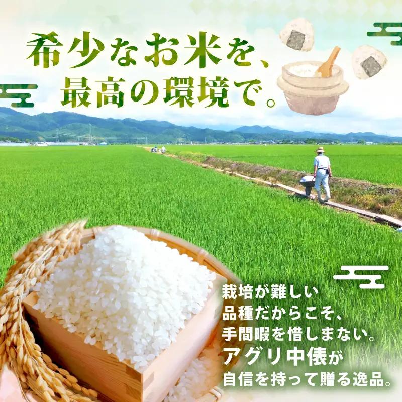 【令和8年産 先行予約】 ミルキークイーン 5kg 5か月 定期便 新潟県産 5回 5ヶ月 特栽米 特別栽培米 ミルキー 新発田産 新潟 ふるさと納税 米 お米 アグリ中俵 特別栽培米 白米 米 お米