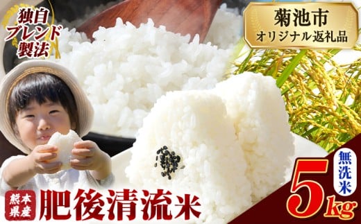 熊本県産 無洗米 肥後清流米 5kg 熊本県産 ふるさと納税 精米 米 こめ ふるさとのうぜい コメ お米 おこめ《9月下旬-11月上旬頃出荷》