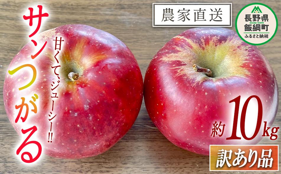 りんご サンつがる 訳あり 10kg 令和8年度収穫分 沖縄県への配送不可 2026年9月上旬頃から2026年9月中旬頃まで順次発送予定 宮本ファーム エコファーマー 減農薬栽培 津軽 つがる 傷 変形 サビ あり 長野県 飯綱町 [1530]