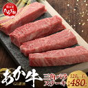 【ふるさと納税】≪GI認証≫ くまもと あか牛 三角 バラ ステーキ 120g×4枚【合計 480g】熊本県産 ブランド あか牛 希少 牛肉 レア ステーキ 芯芯 熊本県 肉 牛肉 赤身 ヘルシー G1 肉 熊本産 国産牛 和牛 国産 熊本 送料無料