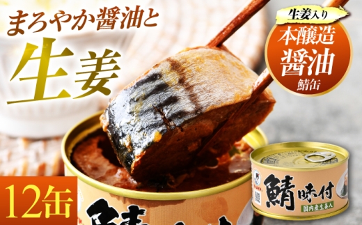 鯖味付缶詰【生姜入】12缶｜ サバ缶 鯖缶 さば缶 鯖 サバ さば 缶詰 サバ缶詰 鯖缶詰 缶 詰合せ 詰め合せ セット 非常食 防災 備蓄 常温 常備食 保存食 [BFAB020]
