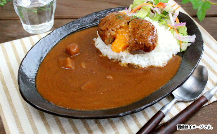 日本ハム レストラン仕様カレー 中辛 計40食（4袋×10P）/ カレー かれー レトルト 牛肉 小分け / 諫早市 / 日本ハム [AHAL003]
