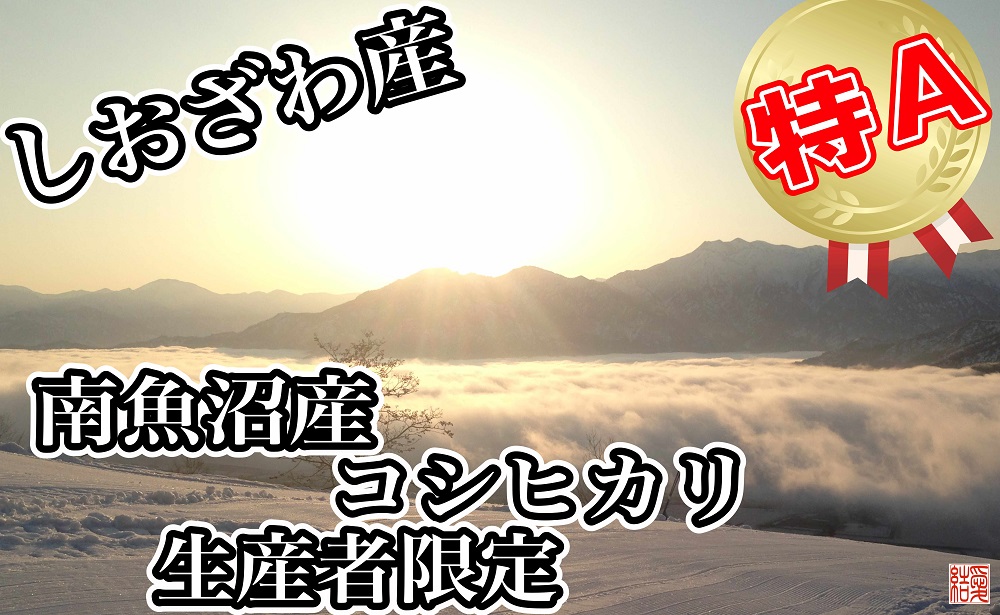 【定期便／２kg×9ヶ月】生産者限定 契約栽培 南魚沼しおざわ産コシヒカリ