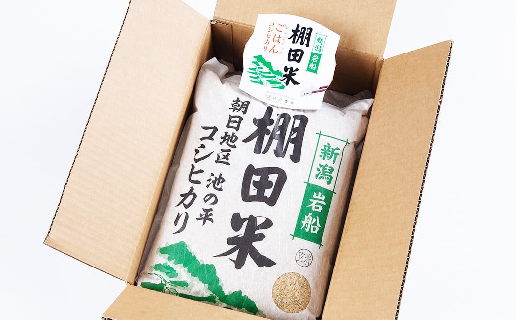 【定期便：5ヶ月連続でお届け】【令和7年産米】新潟県村上市岩船産 棚田米コシヒカリ 玄米10kg ＋ 棚田米コシヒカリのパックごはん(150g×1個)×5ヶ月 1067126