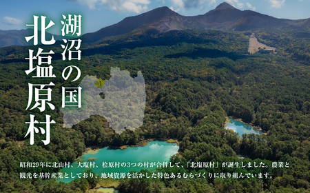 【返礼品無し】福島県北塩原村へのご寄付 1口 10万円 KB005