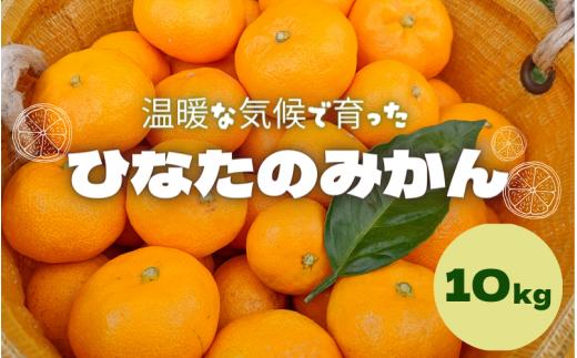ひなたのみかん 10kg （箱込み） 【期間限定・2025/1/15まで】  / みかん 柑橘 田辺市 期間限定 先行予約 ミカン 和歌山 紀州【okm010】