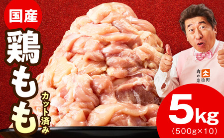 【特別規格】国産 鶏もも肉 切身 5kg【氷温熟成×極味付け】