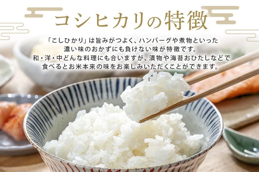 【先行予約】常陸大宮産 コシヒカリ 10kg(5kg×2) 特選限定米 白米 精米 おこめ ご飯 国産米 お米ギフト ブランド米 贈答用 人気のお米 美味しいお米 【一般財団法人常陸大宮市観光物産協会