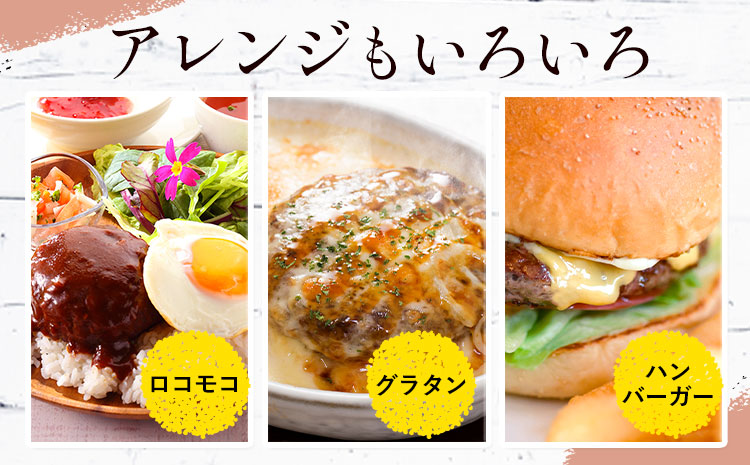 ハンバーグ 鉄板焼き 肉肉ハンバーグ 生ハンバーグ 20個 《1月出荷予定》熊本県 国産 豚肉 ハンバーグ 専門店監修 小分け 肉