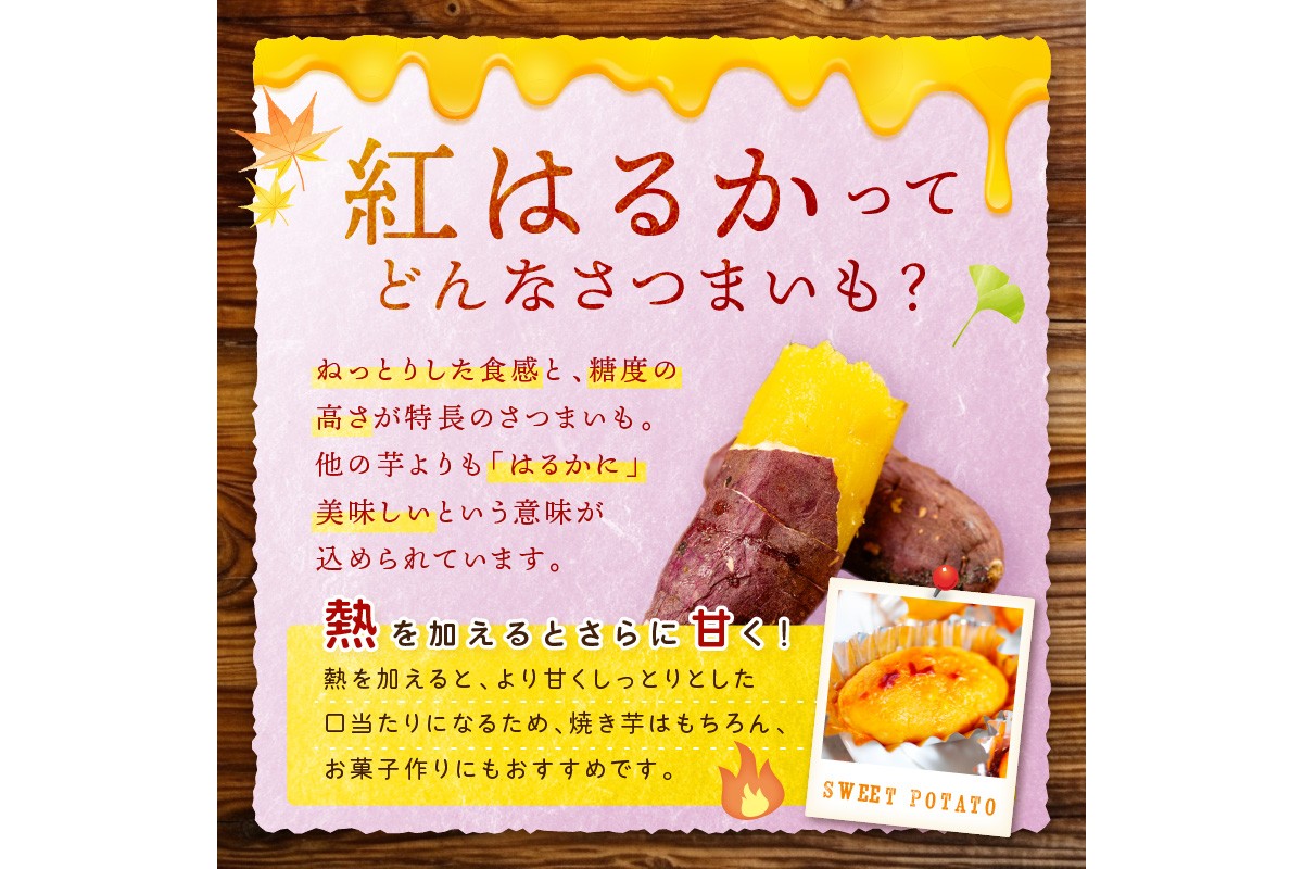 ＜てんとうむしばたけ＞有機さつまいも(紅はるか)5kg　BR00030