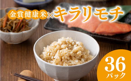 【 ご飯パック 】 金賞 健康米 キラリモチ 120g×36個入り ご飯パック