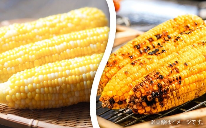 高糖度 どるちぇどりーむ 糖度 コーンスープ 甘さ コーン おやつ BBQ バター焼き 野菜 とうもろこし  糖度 菊陽町