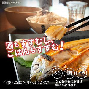 2410R_【父の日ギフト】良漁2.3kg!磯武さんの訳あり干物