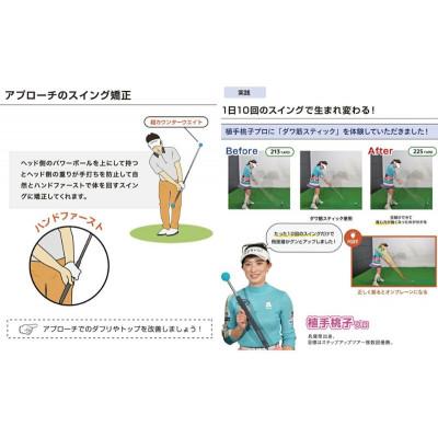 ふるさと納税 姫路市 リンクスゴルフ　ダワ筋スティック　スタンダードタイプ【赤×紺】[53651358] |  | 02