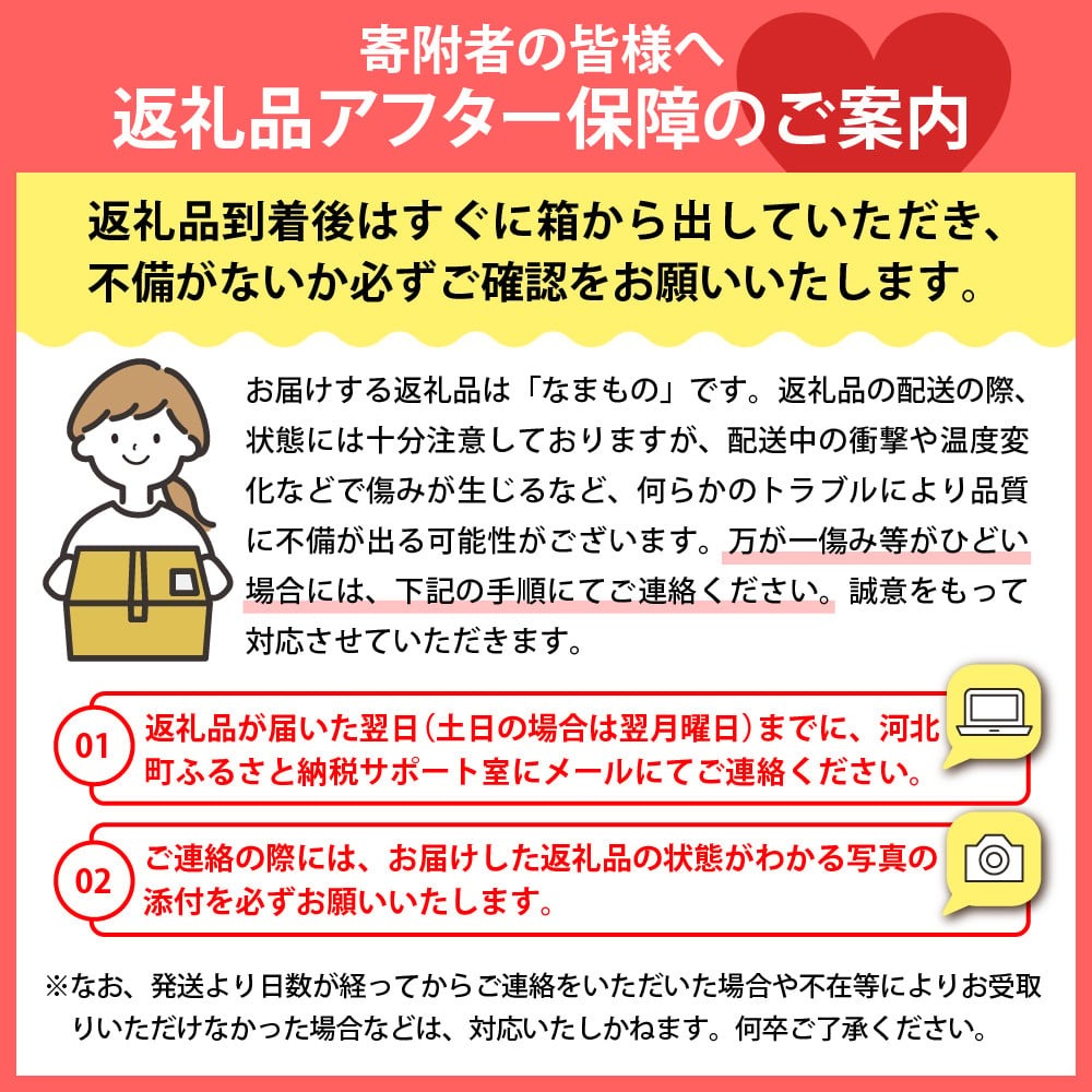 【令和8年産】白桃&黄桃 3kg(7～13玉前後) ギフト用 品種おまかせ 山形県河北町産【山形eLab】 ka074-017-r8