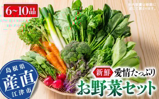 
            新鮮愛情たっぷりお野菜セット｜野菜 旬 新鮮 産地直送 リピ確定 美味しい 大好評  詰め合わせ セット SP-2
          
