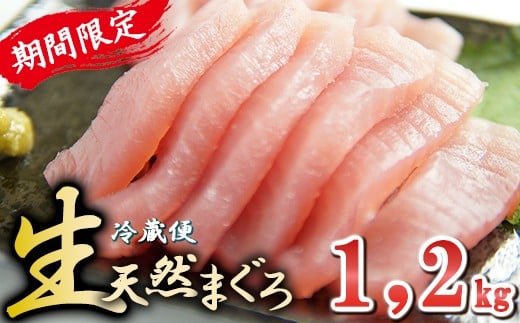 期間限定！〈生でお届け〉国産天然マグロ短冊 １，２kg  【10月15日までの受付】 産地直送  天然ビンチョウマグロ短冊  天然  国産 鮪 まぐろ マグロ ユッケ 海鮮 刺し身 ネギトロ 短冊 冊 問屋 直送 期間限定 自社加工 小分け 切るだけ 簡単調理 人気 おすすめ 新鮮 品質 厳選 美味しい とろける トロ ビンチョウ ビンナガ こだわり 丁寧 三重県 尾鷲市　KI-67
