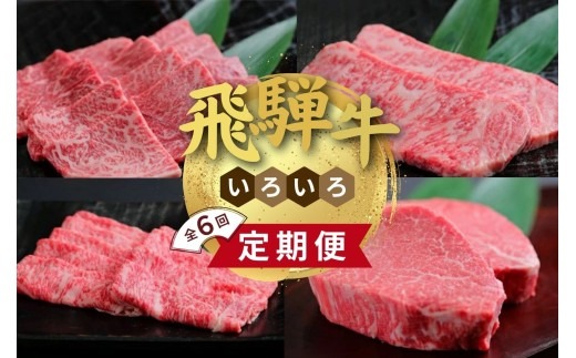 飛騨牛 いろいろ 定期便　毎月お届け全6回 食べ切り Aセット｜牛肉 セット 牛肉セット 限定 食べ比べ アソート 国産 和牛 ブランド牛 飛騨 牛肉ギフト 飛騨牛ギフト 飛騨牛赤身すきやき 牛肉赤身 飛騨牛しゃぶしゃぶ 赤身飛騨牛 飛騨牛 牛肉 すきやき しゃぶしゃぶ 赤身 飛騨牛赤身 飛騨牛すき焼き 飛騨牛スキヤキ 牛肉すきやき すき焼き すき焼き用※離島への配送不可