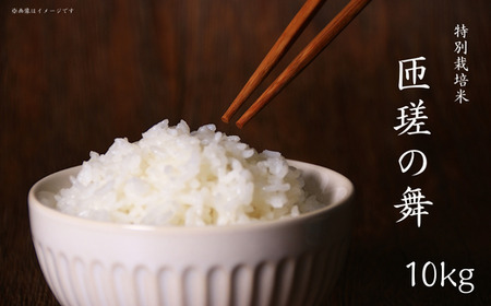 匝瑳の舞　精米　10kg