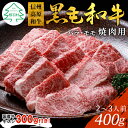 【ふるさと納税】国産牛牛スジ付き★信州高原和牛 焼肉 400g バーベキュー 牛肉 バラ肉 モモ 厳選 盛り合わせ 国産黒毛和牛 牛肉 和牛 焼き肉 10000円 10,000円 一万円 1万円