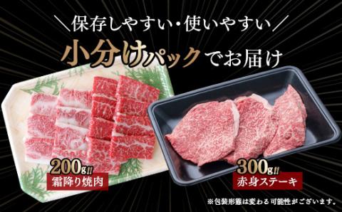 【カミチク 上村和牛】ステーキ＆焼肉セット500ｇ　黒毛和牛4等級以上〈1.6-8〉