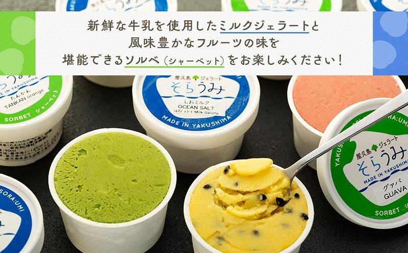 手作り ジェラート 12カップ 詰め合わせ セット＜屋久島産の新鮮食材を使用＞