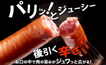 チョリソ1kg ウィンナー ソーセージ チョリソ 国産 自家製 豚肉 肉厚 ジューシー チリソース 辛い 旨辛 夕食 ご飯 おかず おつまみ お弁当 お酒 冷蔵 大容量 送料無料 日本ふるさと創生株式
