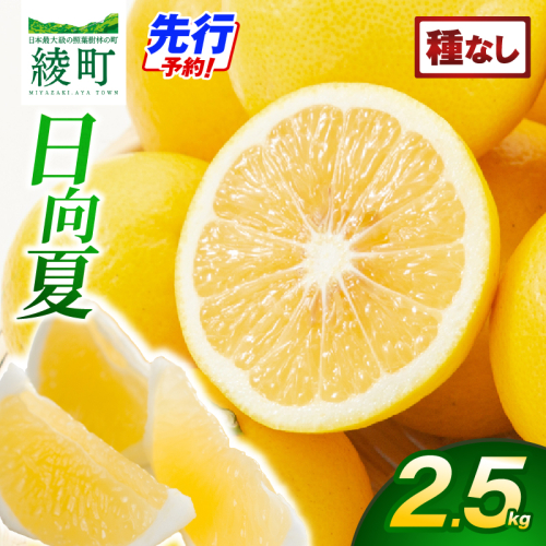 【先行受付】初春の旬「日向夏」種なし 2.5kg【JA綾町】_A0114-240