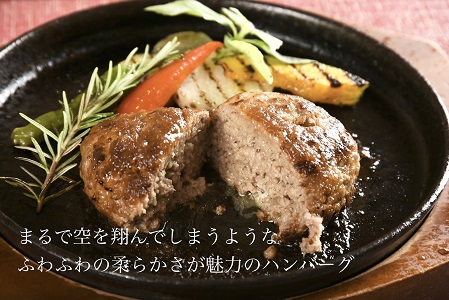 最高級佐賀牛合挽【空翔ぶハンバーグ】4個（ソース付）：B017-030