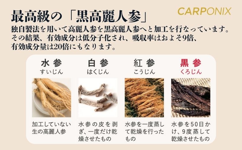 黒高麗人参「CARPONIX」　＜ご自宅用エコパック＞ 60粒入り×2袋　＜個包装＞ 4粒入り×30袋 【定期便 12ヶ月】 サプリメント サプリ 黒高麗人参 カプセル ジンセノサイド 千葉市