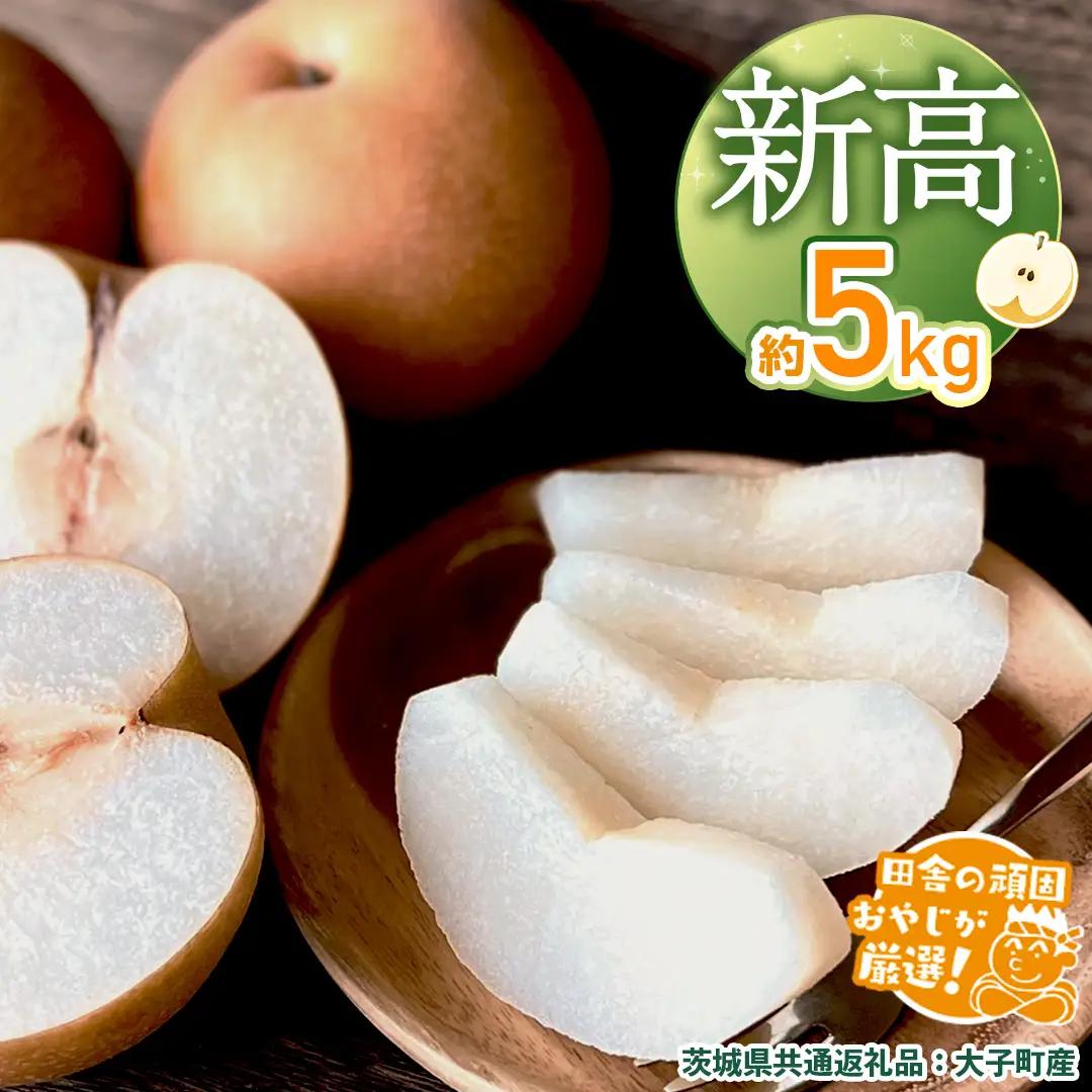 梨 新高 約5kg 【2026年10月より発送開始】（茨城県共通返礼品 [梨]：大子町産） フルーツ 果物